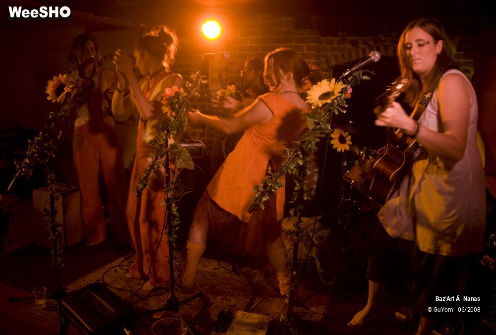 25/35 photos du spectacle Baz'Art à Nanas